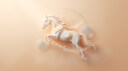 alibaba/happyhorse-1.1-i2v