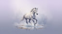 alibaba/happyhorse-1.1-t2v